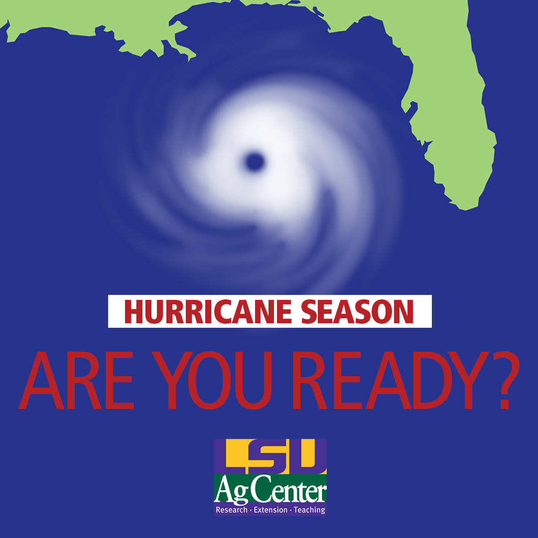 Make your home more resilient before storms come